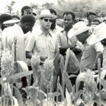 Collègues 93 1982 - Collègues Sénégal 93